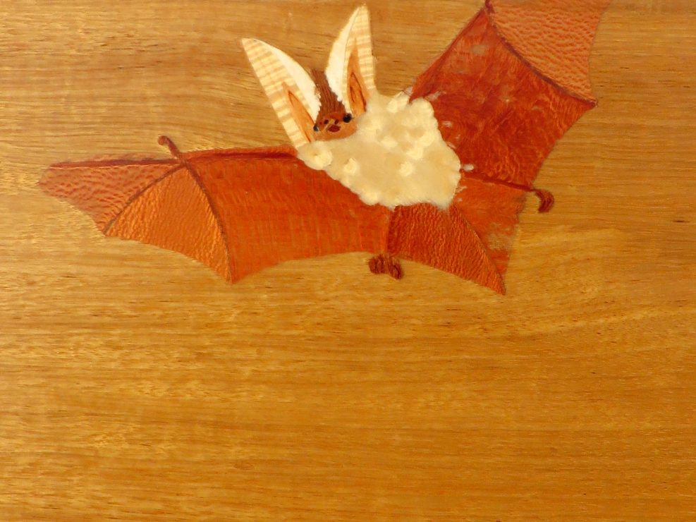 Oreillard Chauve-souris Marqueterie Bois Tableau